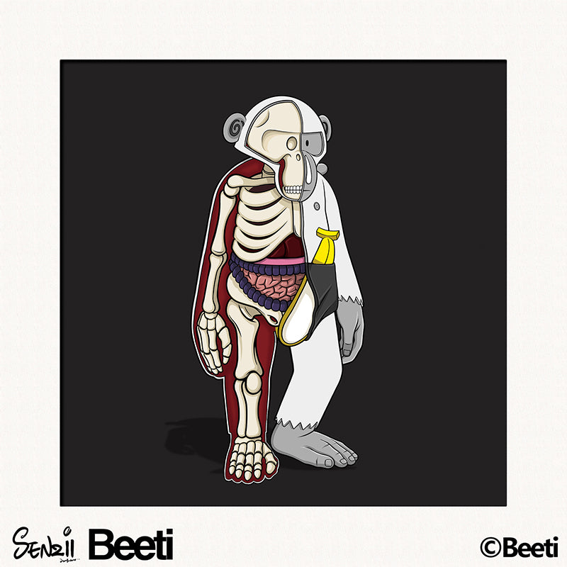 【現貨】SENZII千記商行xBeeti BeetiFamily 半解剖《Monkey Anatomy》限量版畫